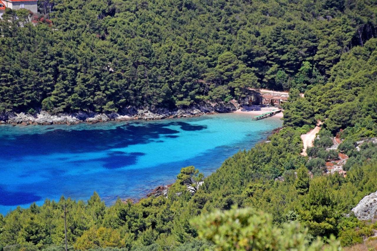 Apartments By The Sea Luka Dubrava, Peljesac - 284 Janjina Εξωτερικό φωτογραφία